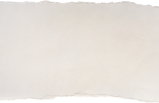 Ripped Piece of Paper